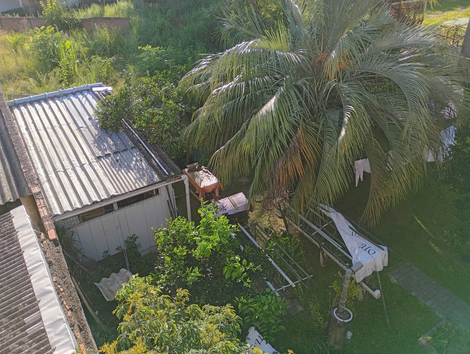 Terreno - Vista aérea da área verde nos fundos
