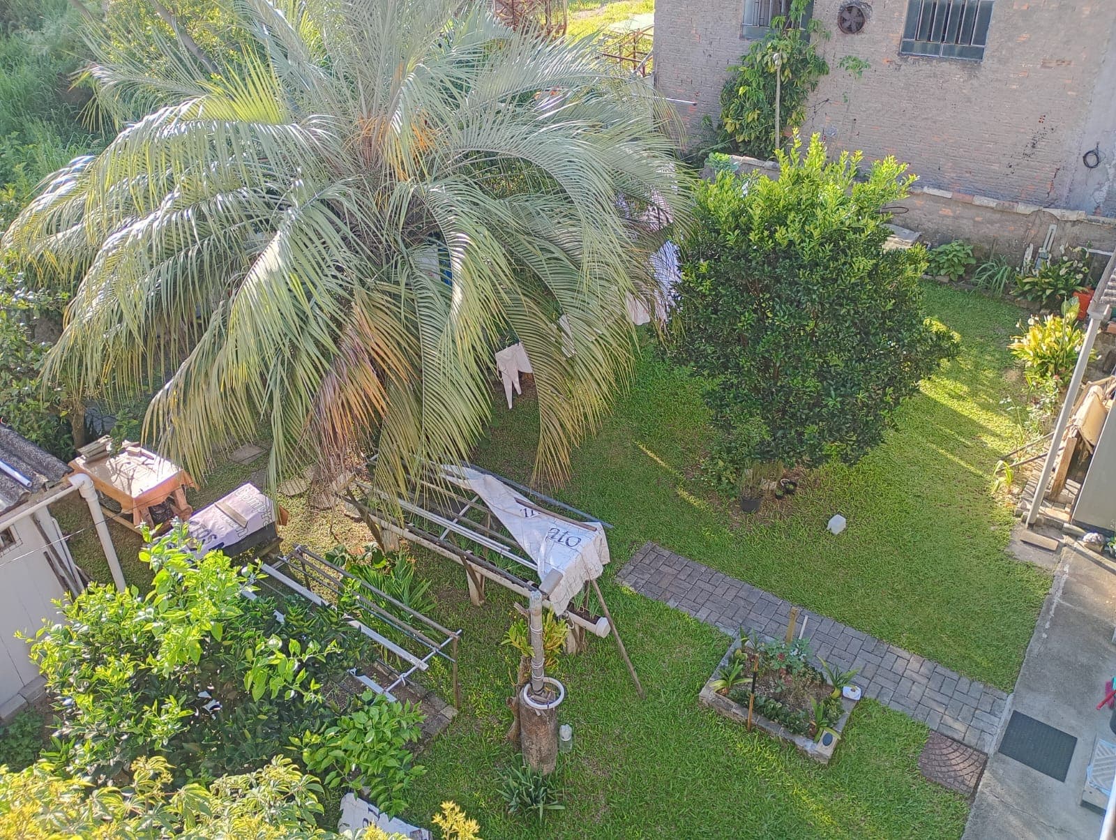 Terreno - Área verde com gramado e caminho